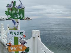 -青海湖二郎剑景区