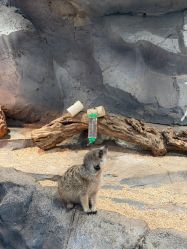 -Zoolung Zoolung动物主题公园(海信广场店)