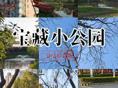 -新天世纪中餐厅