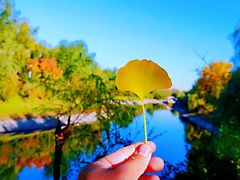 -长春公园(普阳街道)