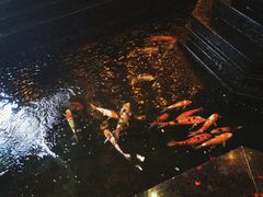 -天津瀚金佰九号温泉酒店(南楼地铁站店)