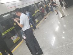 -杨高南路(地铁站)