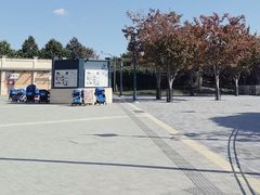 -IL paperino帕帕里诺冰激凌