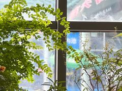 -包玉刚游泳场(黄龙恒励大厦店)