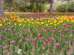 -长春公园(普阳街道)