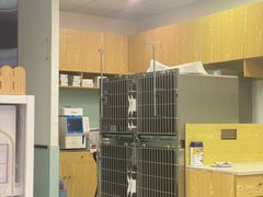 -中农大我爱我爱动物医院·核磁CT·猫病·24小时夜诊中心(石佛营店)