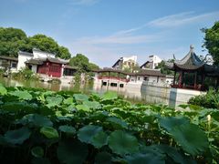 -八大山人梅湖景区