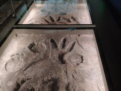 -湖南省地质博物馆