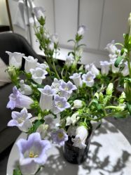 -MIDA蜜哒•科技逆龄美肤连锁