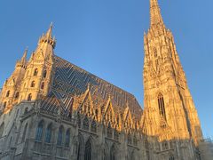-斯蒂芬主教座堂(Stephansdom)