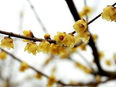 -上海方塔园