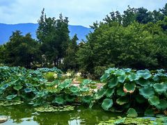 -国家植物园南园