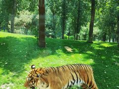 -北京野生动物园