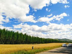 -塞罕坝国家级自然保护区