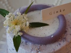 -Ginko银子(青龙街店)