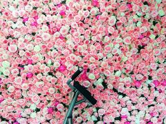 -UltraForce超源健身私教工作室(长楹天街精品店)