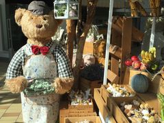 -济州岛泰迪熊博物馆