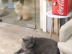 -小时光咖啡馆(开森度假森林店)