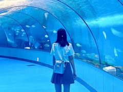 -泉城欧乐堡海洋极地世界