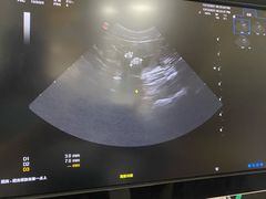 -邢大夫动物医院