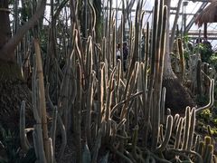 -南山植物园