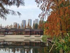 -重庆彩云湖湿地公园