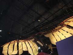 -国家自然博物馆