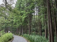 -东湖落雁景区