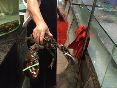 -新海利海鲜城·41年珠海老字号(夏湾店)