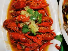龙虾-大孩龙虾(体育场旗舰店)