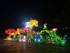 -青岛方特梦幻王国