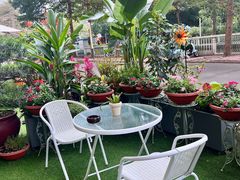 -山水茶艺馆·点心粤菜·30年老字号