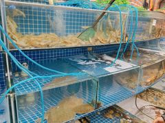 水产区-蟹谢蒸鲜自助餐厅