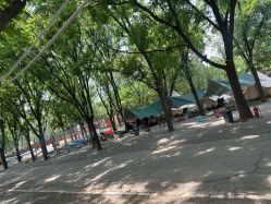 -268童话露营农场·烧烤·团建