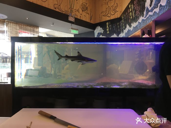 黑鳍鲨日式料理图片 - 第487张