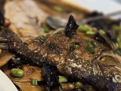 -明珠湖天鹅苑·农家菜馆