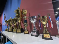 -八爪矩阵极限运动馆·儿童平衡车·感统训练(南海子公园校区)