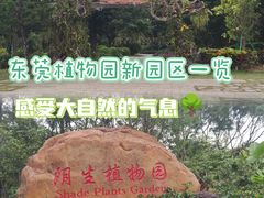 -东莞植物园