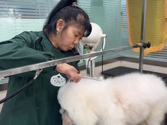 -暖阳宠物医院·犬猫康复中心·骨科