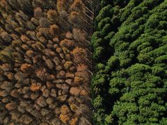 -山王坪喀斯特国家生态公园