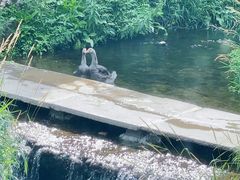 -北京水岸山吧度假村(雁栖镇店)