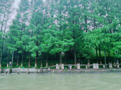 -运河游船(武林门码头)