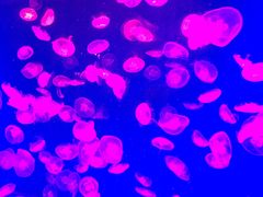 -皇家极地海洋世界-售票处