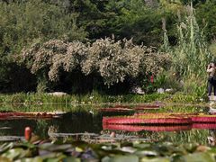 -国家植物园南园