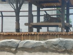 -祥源·阜阳生态乐园