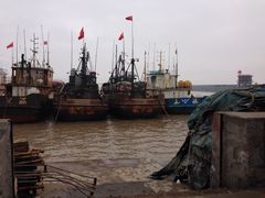 iphone_upload_pic-漩门湾国家湿地公园