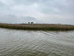 -宁波杭州湾国家湿地公园