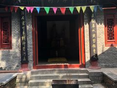 -王顺山国家森林公园