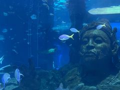-暹罗海洋世界
