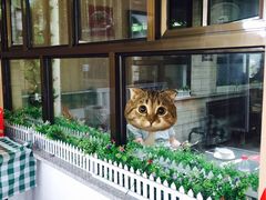 -晓院餐厅